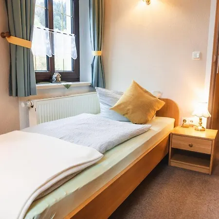 Gasthof und Pension Hammerschänke Wildenthal Zimmer foto