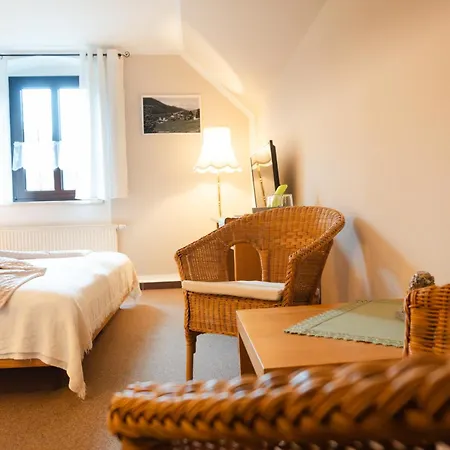 Gasthof und Pension Hammerschänke Wildenthal Zimmer foto