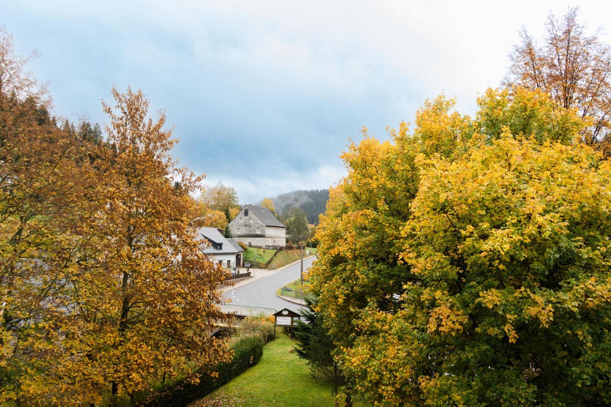 Und Hammerschänke Wildenthal